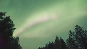 Last night the aurora went crazy for the 4th night in a row! The weather was very cloudy though and we did a lot of driving to find some clear skies. 9PM Rovaniemi Lapland Finland :) | All About Lapland