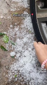 Florida | Boca Chica Beach Legends