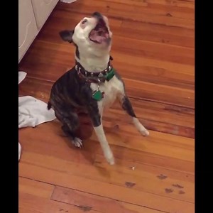 :v :v :v | Firepower Records