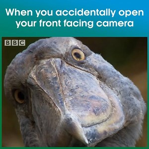 1.8M views · 2K reactions | THE HORROR! THE HORROR! | BBC One | Facebook