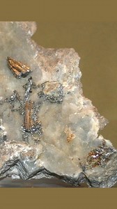 Are you throwing away gold? | The Professional Prospector