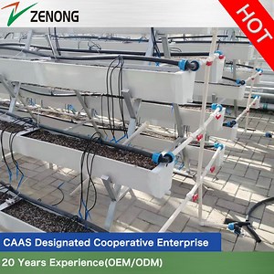 [Hot Item] Deep Water Cultivation Model Dwc Hydroponics/Wall Style Culture/a Frame for Strawberry/Box Substrate Culture for Lettuce Salad/Spinach/Herbs