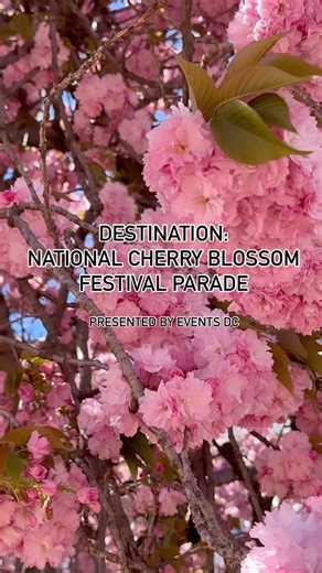 16K views · 164 reactions | ✨A Parade to Remember!✨ Our deepest...