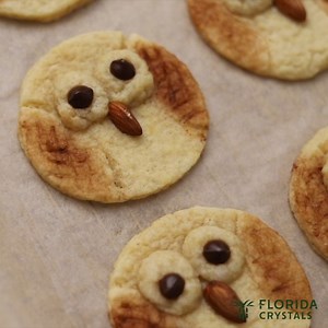 We love our family of barn owls so much that Britt with @the_bananadiaries made us the cutest lookalike Owl Vegan Sugar Cookies. These deliciously soft and chewy sugar cookies are 100% vegan, egg-free, and dairy-free! Craft these cookies with the step-by-step recipe: https://www.floridacrystals.com/recipe/vegan-sugar-cookies | Florida Crystals®