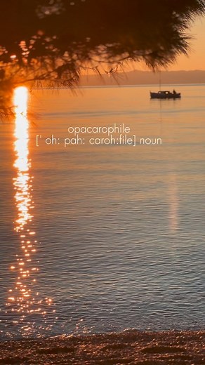 2.1K views · 48 reactions | Do you prefer sunsets or a sunrise? ...