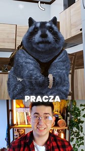 27K views · 72 reactions | Symulator SZOPA PRACZA 劣, czyli Metal Gear Solid z temu. #ciekawostkizgier #gry #gaming #wantedraccoon Wanted Raccoon 劣 to opowieść o szopie praczu, który wiódł spokojne życie w lesie, aż pewnego dnia najechali go ludzie. Wycięli drzewa i zamiast nich zbudowali własne domy. Rodziny zwierząt zostały im odebrane, a wszystkie te, które nie mogły się ukryć, zostały umieszczone w schroniskach dla zwierząt. | GRApedia | Facebook