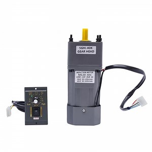 [Hot Item] Economical Adjust Speed Controller Competitive Micro Single Phase Gear Motor for Sale