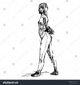 Nude Anatomical Woman Body Figure Drawings Stock Vector (Royalty Free) 1054581815 | Shutterstock