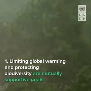 18 reactions | What does #biodiversity loss have to do with climate change? 樂 Find out why these two interconnected crises must be tackled together  via United Nations Development Programme - UNDP | United Nations Biodiversity | Facebook