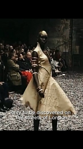 Supermodel Alek Wek one of the best in the business. That wig was not just about me taking it off to make a scene, it was a time that I was just starting in fashion, to work. And the one thing that I told my agents was, 'if you are going to represent me, I'm not going to be a gimmick and be in for a couple seasons. You're going to take it all or leave it" Alek Wek, scouted at 18 modelled for 2 decades, known for taking a stance for individuality in the fashion industry, she became a fashion icon