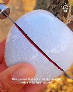 472K views · 6K reactions | Fruits like you have never seen before  | Pretty Hairstyles | Facebook