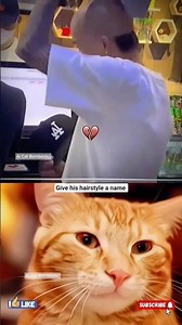 NEW HAIRSTYLE UNLOCKED 🐱 #funny #cat #memes