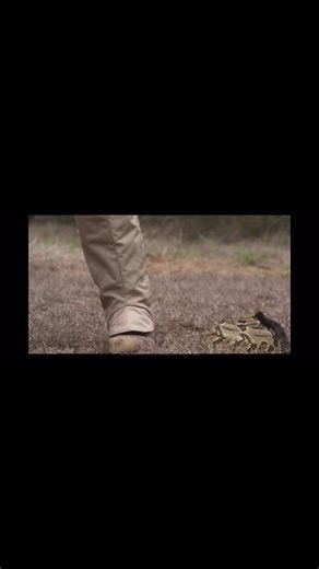 740K views · 5.2K reactions | See the whole video on YouTube to know...