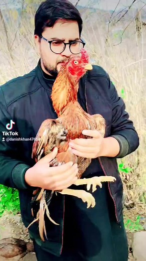 Danish bhai ka Shok | Asil Library