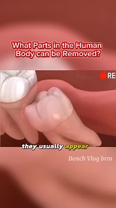 1.5M views · 6K reactions | Wow! What organs in our human body can be...