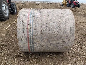 [Hot Item] Silage Plastic Nets Customized Silage Film Bale Wrap Net