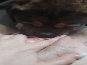 Small Dog's Tongue Gets DEEP In My Cunt Part I/4