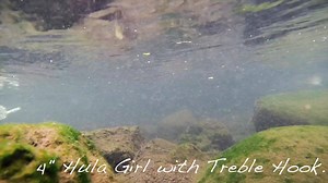 4” Hula Girl with Treble hook set up and 3” with a jig head setup. #campanialures #madeinhawaii #tica #costasunglasses #HWU #fishing #softbaits #lures | Campania Lures