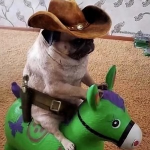 37K views · 2.1K reactions | You sent me very upsetting memes on discord… | Mully | Facebook