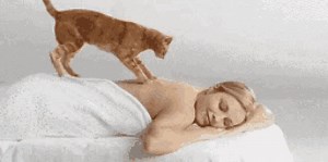 Massage therapists help with pain and stress. Find a massage therapist near you: https://www.paintreatmentdirectory.com/search_results?tid=18&location_value= #massage #massagetherapist #massagetherapist #MassageTherapyHeals #massagetherapyworks #painrelief #pain #chronicpain #petmassage #pets #pet #petpainrelief | The Truth About Chronic Pain Treatments
