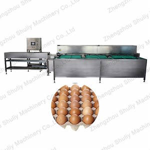 [Hot Item] High Quality Egg Grading Machine Egg Brush Wshing Machine