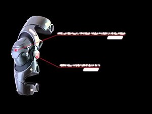 EVS Sports Web Knee Brace