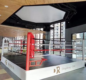 2021 Boxing Equipment Training Factory with Custom Logo Printed Floor Boxing Ring