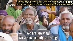 Tigray Update on Reels