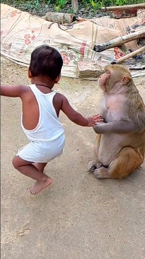 मंकी रानी बच्चों के साथ कैसे खेलती थी 😄।। #youtubeshorts #shorts #ranivlogrbl #akashrbl783