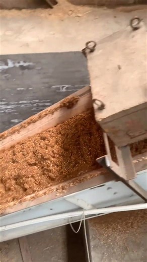 china hengxing our customer case.10t/h wood rotary dryer/straw dryer/organic fertilizer dryer /bamboo dryer/ sawdust dryer /wood shaving dryer /Large continuous roller carbonization furnace/chrysanthemum dryer working.if you intereted we can contact.my wechat/mobile phone/viber/whatsapp:008615806626270. WhatsApp:008618764060706 email:hengxing@hxestar.cn our website:www.hxestar.cn | Heng Xing