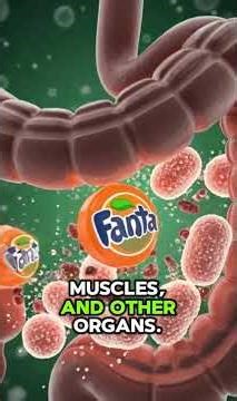 What Happens Inside Your Body When You Drink Fanta? (3D Body Animation)