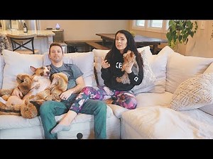 Foster Care Update. Discipline & spanking. PATH CLASS 3