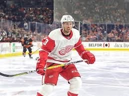 Alex Biega: Wife| Net Worth| Contract| Age: - sportsjone