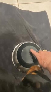 Lisa Wallace | Total Rottweiler Magazine