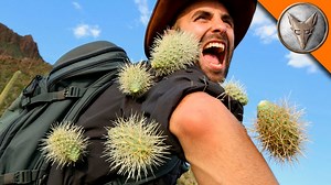 Coyote Peterson Gets Attacked By Jumping Cacti While Pursuing the Painful Sting of a Tarantula Hawk