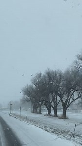 🚛❄️🇺🇸 | Melissa May