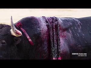 AnimaNaturalis exposes the cruelty of bullfighting