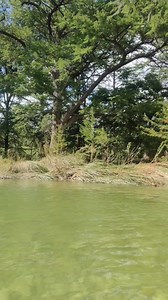 Tranquil waters and Texas beauty — the Frio River flowing through Garner State Park today 🌳💧 #ConcanTX #Frioriver #garnerstatepark #RiverUpdate | Texas Rivers