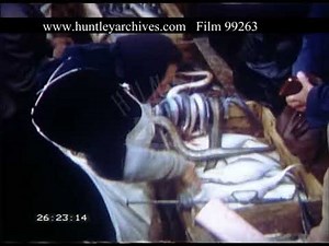 Copenhagen Fish Market Denmark, 1950s - Film 99263