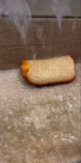 Sad bread from TikTok (credit to tiktok guy) 😭😭😭#sad #bread #tiktok