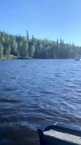 Pete boat hauling ass! #Peterbilt | Diesel truck addicts