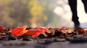 PM GROUP Limited | PM GROUP Limited | Facebook