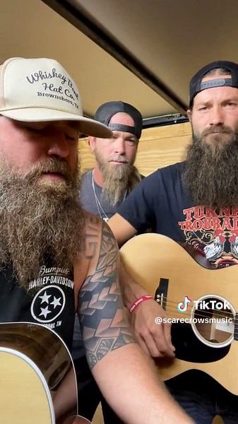 The Scarecrows on TikTok