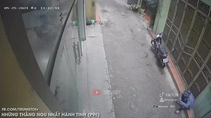 28K views · 756 reactions | Những thằng nguy hiểm nhất hành tinh p15 | Tin Việt | Facebook