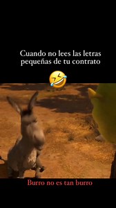 36K views · 2.5K reactions | Burro no es tan burro 藍 #burro #shrek #fypviralシ #viralvideoシ #foryouシ #humorviral #comedia #divertido #gracioso #jajaja #chistes | Catty Arquinigo Cadenas | Facebook