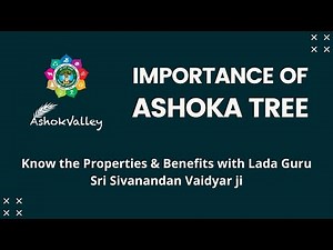 IMPORTANCE OF ASHOKA TREE | AshokValley | AMCT TV