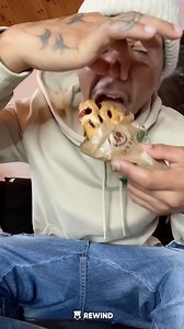 Tasting german food! | Animals & More | Facebook