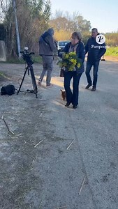 243K views · 39K reactions | Le lendemain du décès de Brigitte...