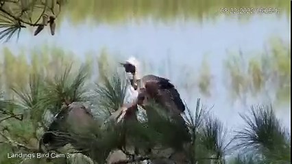 3.4K views · 276 reactions | We're not envious of this of this adult...