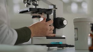 Female Hand Adjusting Microscope Focus Laboratory Stock Footage Video (100% Royalty-free) 3922846947 | Shutterstock